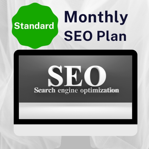 Standard SEO and PPC Monthly Plan